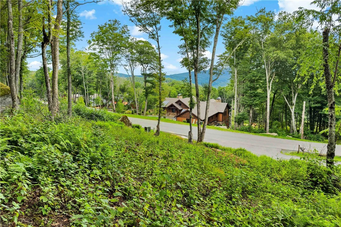 Image number 10 for the current listing