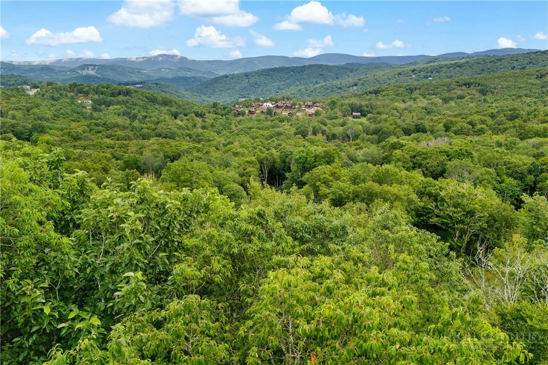 Image number 11 for the current listing