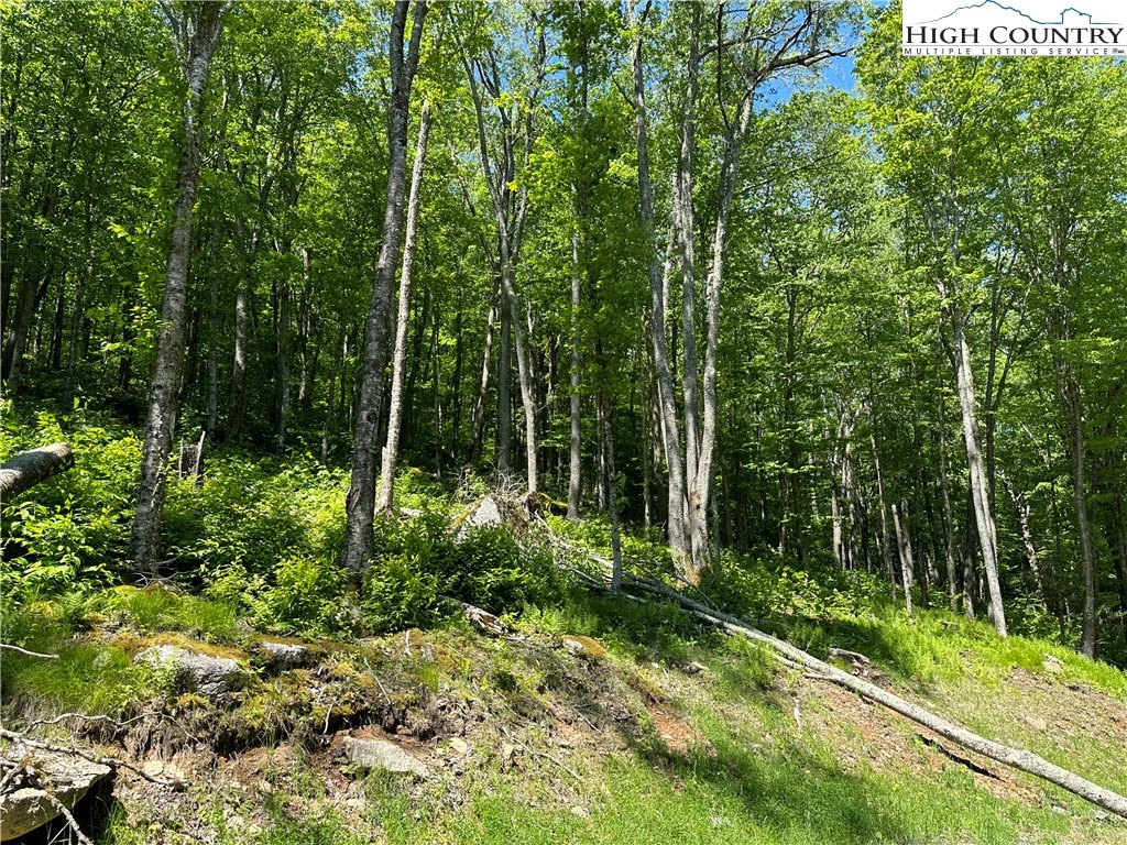 Image number 1 for the current listing