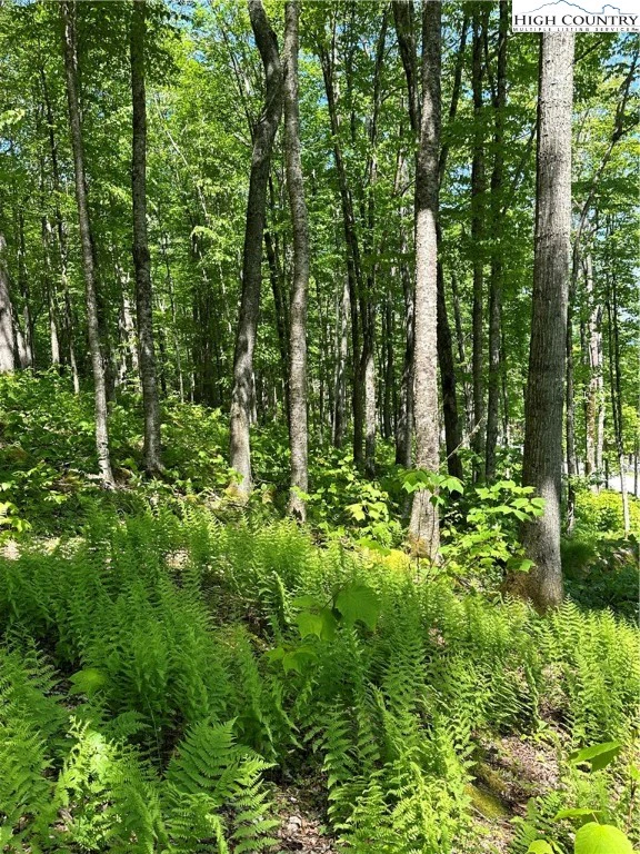 Image number 19 for the current listing
