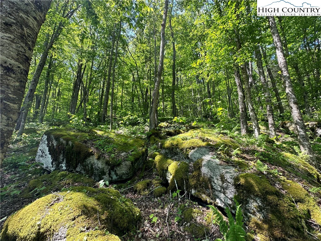 Image number 18 for the current listing