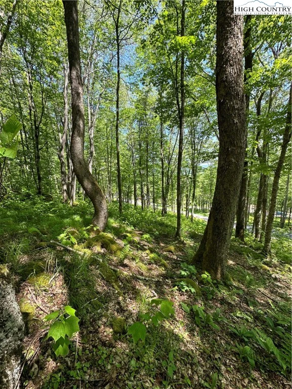 Image number 15 for the current listing