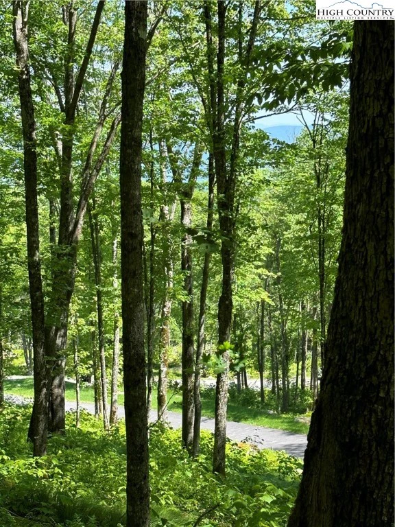 Image number 14 for the current listing