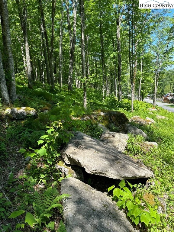 Image number 12 for the current listing
