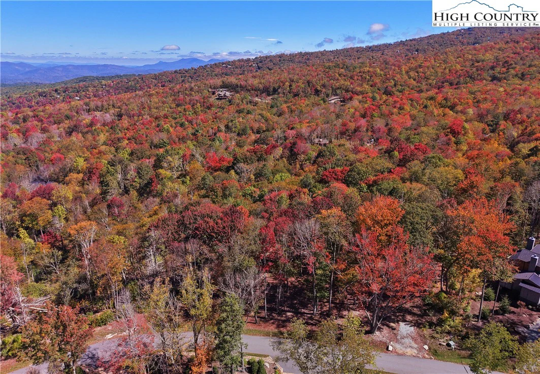 Image number 1 for the current listing