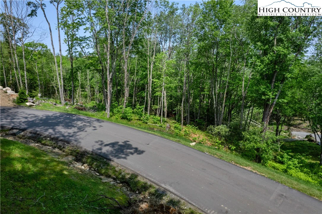 Image number 1 for the current listing