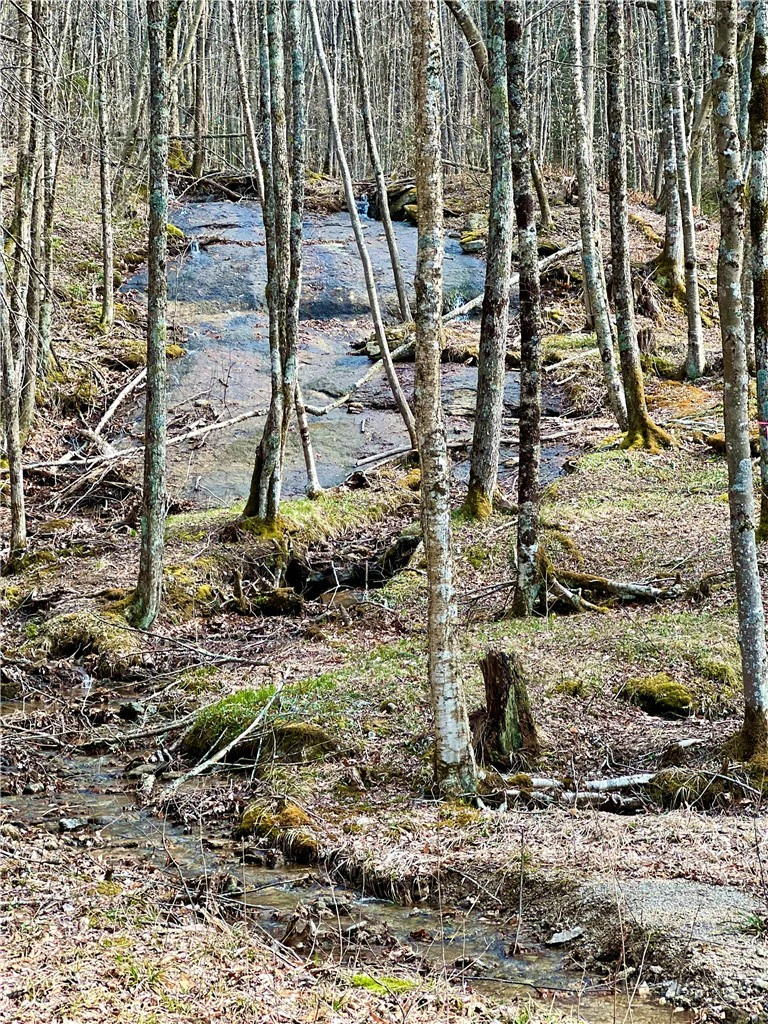 Image number 1 for the current listing