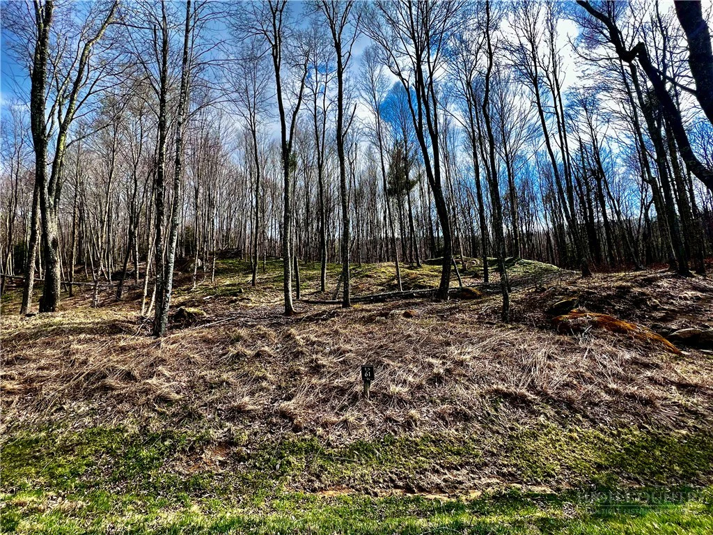Image number 2 for the current listing