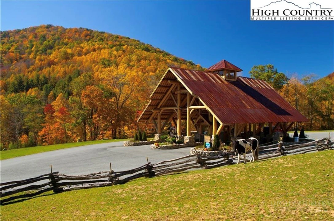 Image number 4 for the current listing