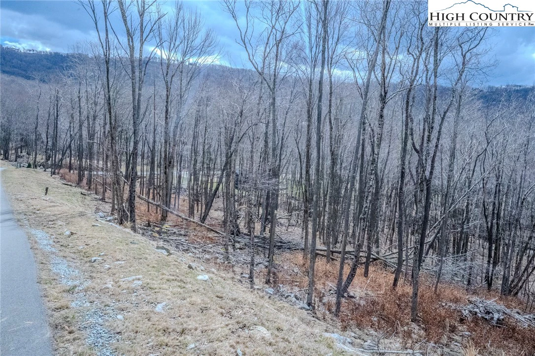 Image number 1 for the current listing