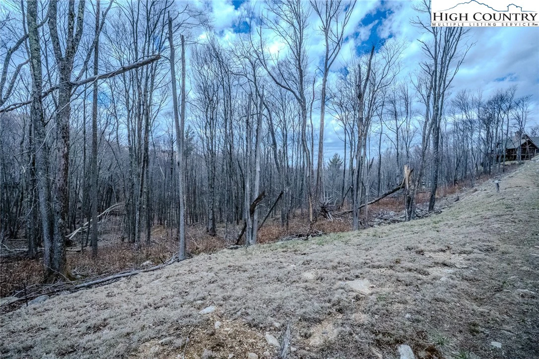 Image number 19 for the current listing