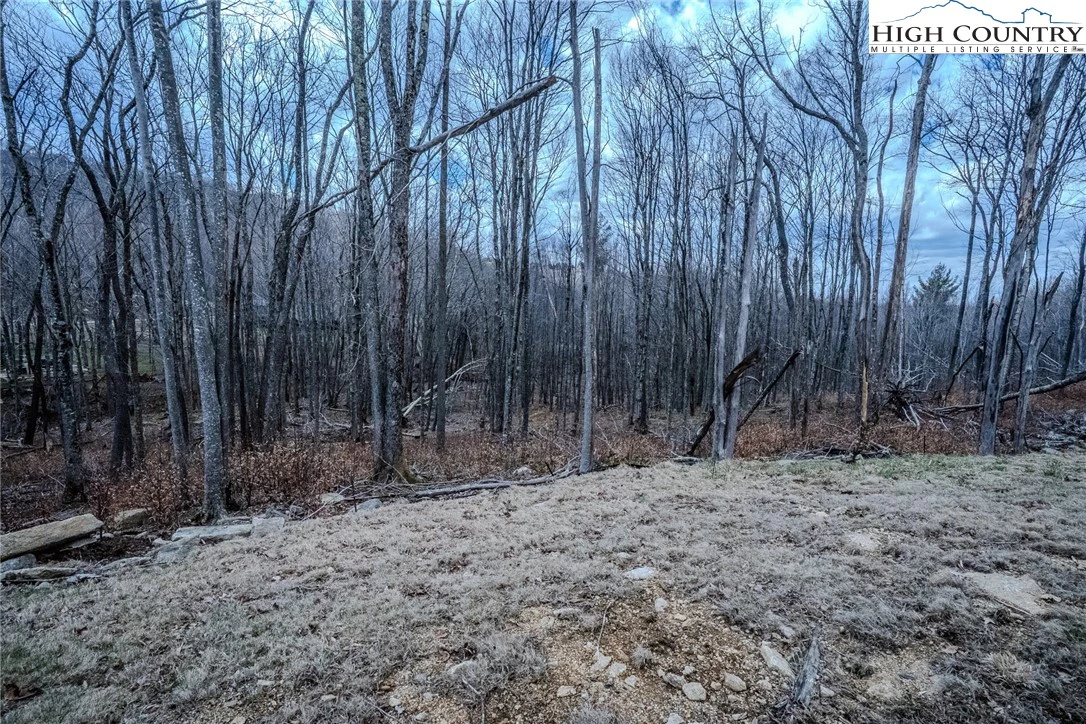 Image number 18 for the current listing