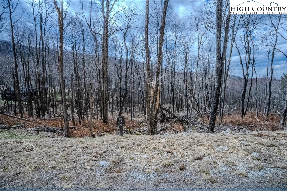 Image number 16 for the current listing