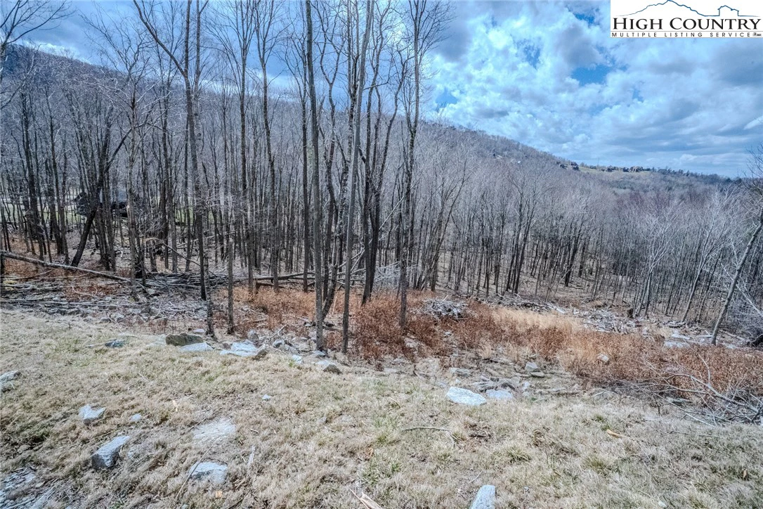 Image number 2 for the current listing