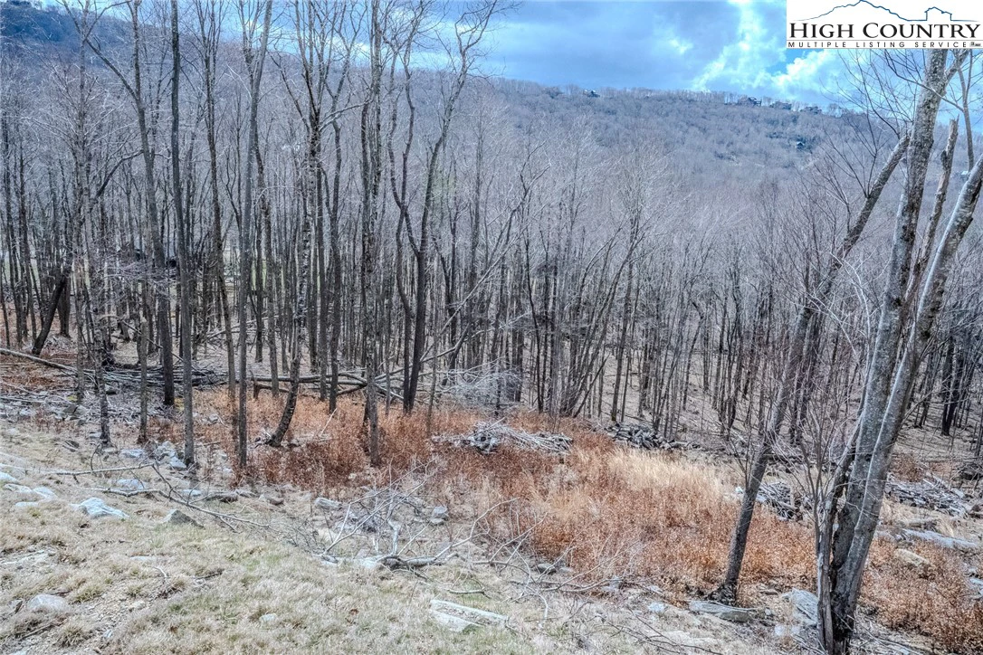 Image number 14 for the current listing