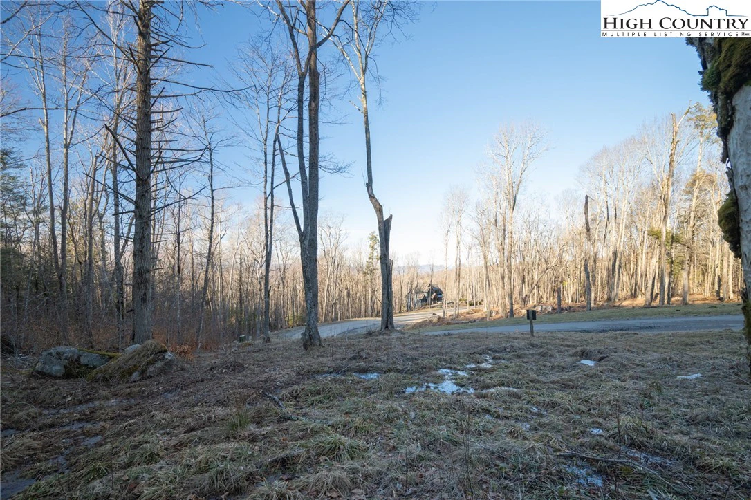 Image number 1 for the current listing