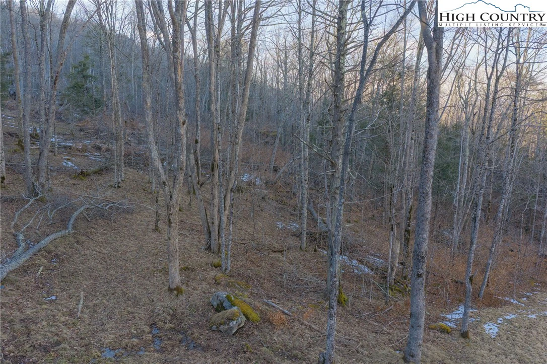 Image number 21 for the current listing