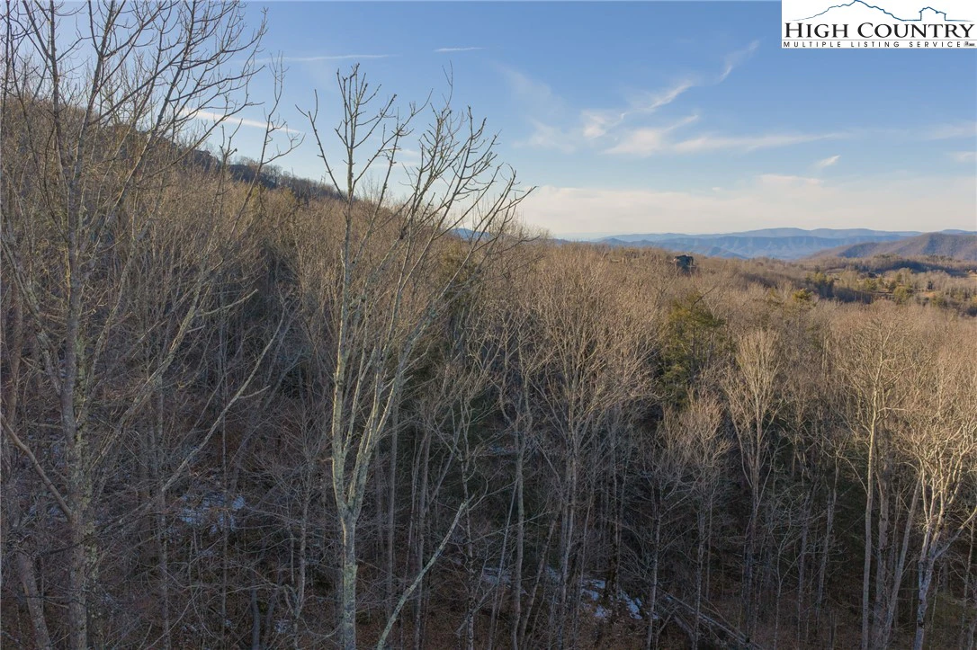 Image number 19 for the current listing