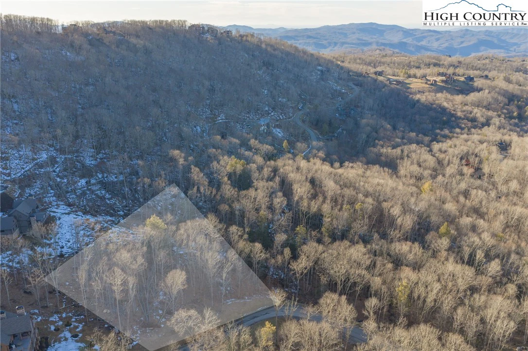 Image number 4 for the current listing