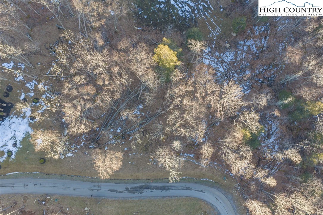 Image number 5 for the current listing