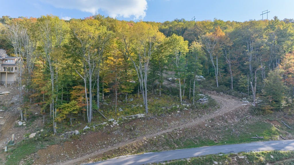 Image number 14 for the current listing
