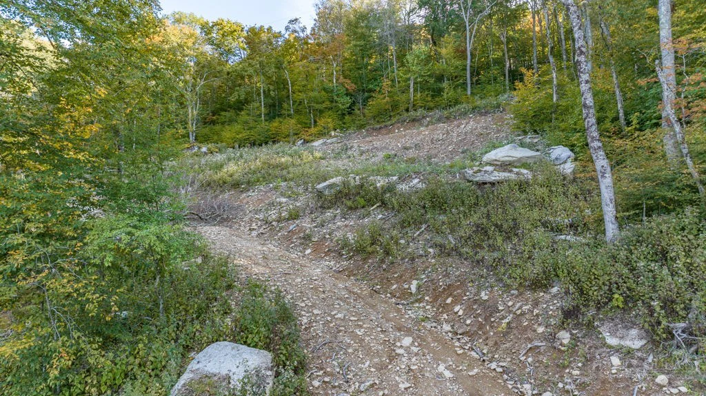 Image number 13 for the current listing