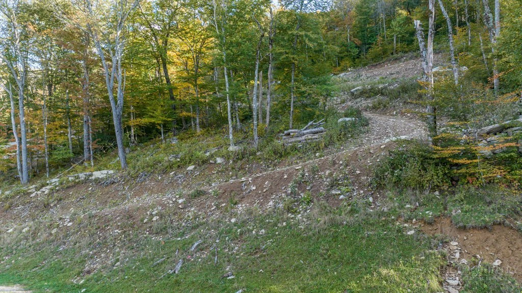 Image number 1 for the current listing