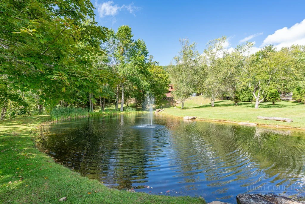 Image number 4 for the current listing