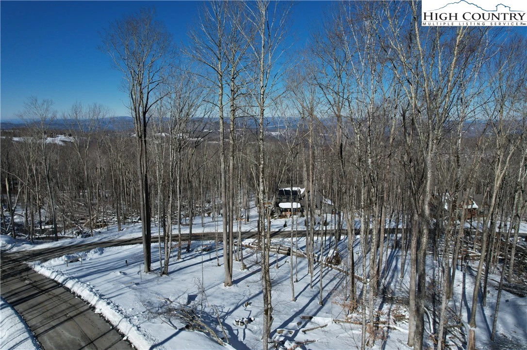 Image number 1 for the current listing