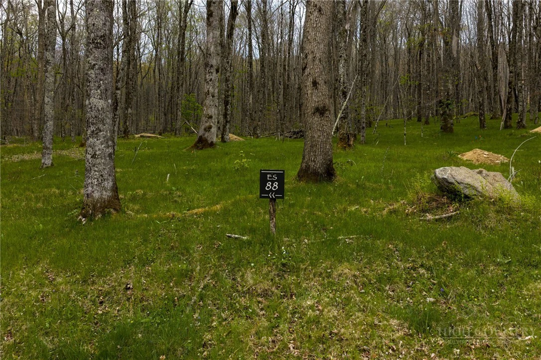 Image number 1 for the current listing