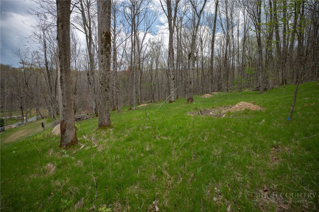 Image number 4 for the current listing