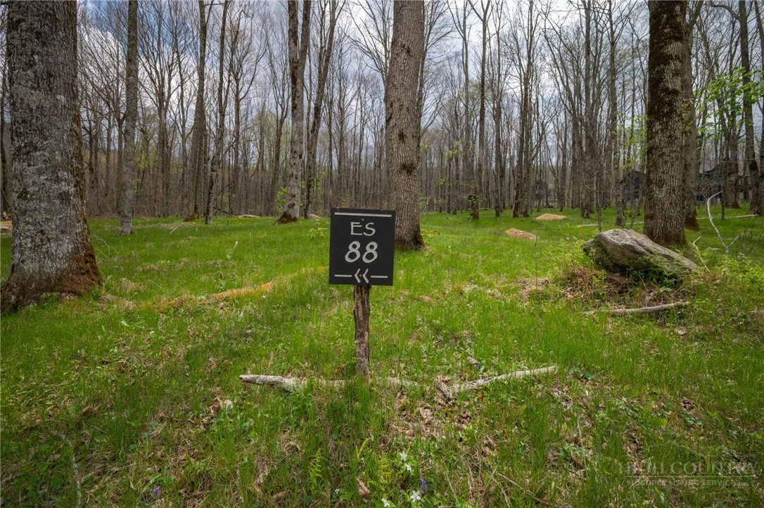Image number 12 for the current listing