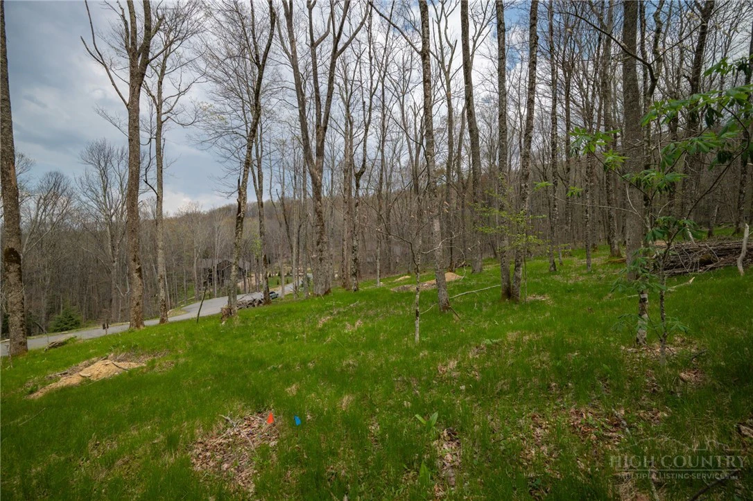 Image number 6 for the current listing