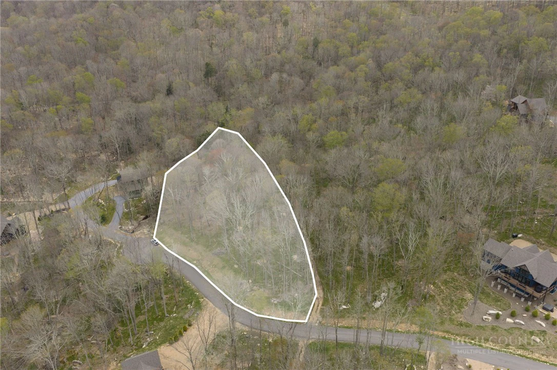 Image number 3 for the current listing