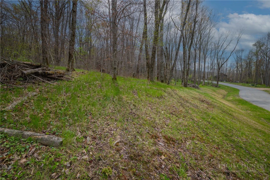 Image number 11 for the current listing