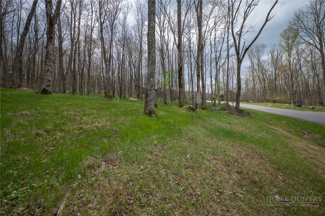 Image number 15 for the current listing