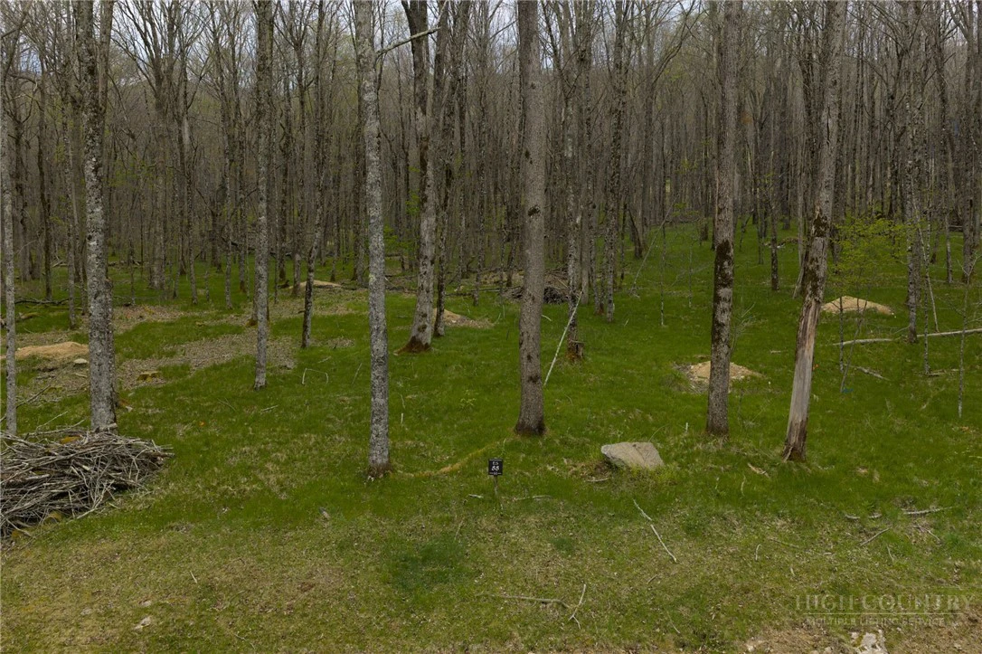 Image number 19 for the current listing