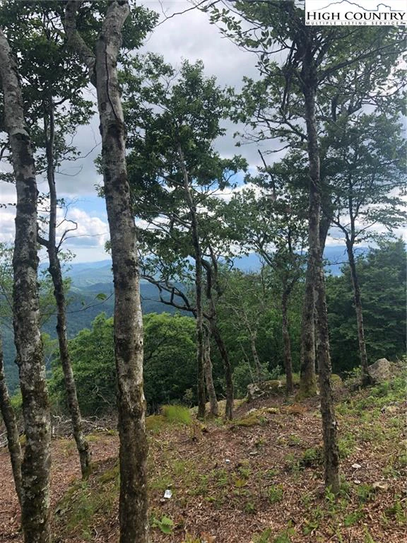 Image number 1 for the current listing