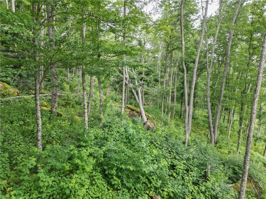 Image number 6 for the current listing