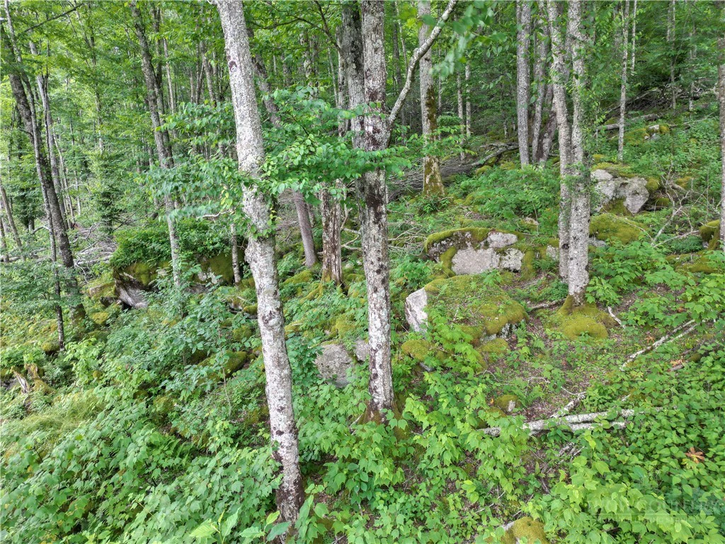 Image number 8 for the current listing