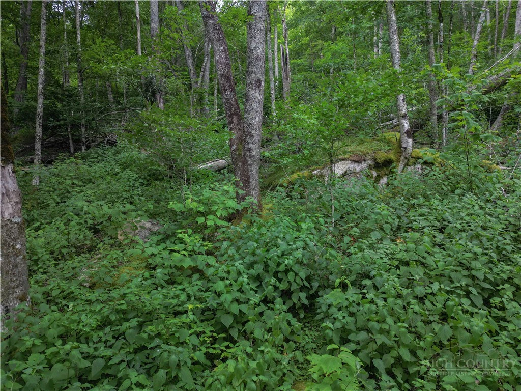 Image number 11 for the current listing