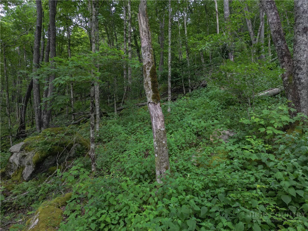 Image number 12 for the current listing