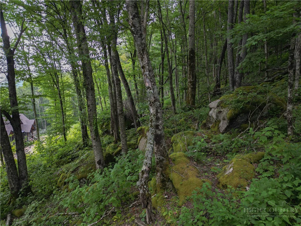 Image number 13 for the current listing