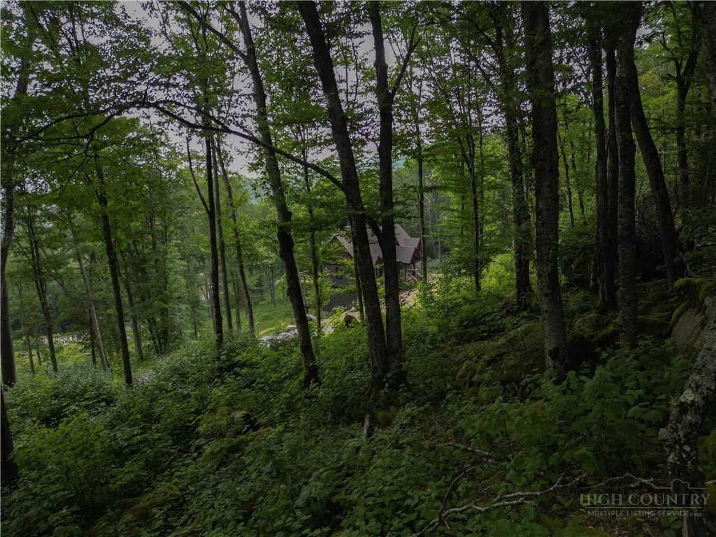 Image number 14 for the current listing