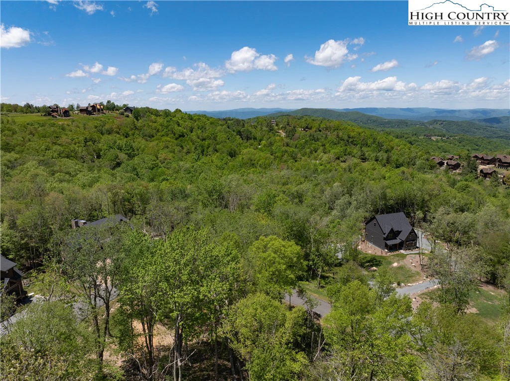 Image number 1 for the current listing