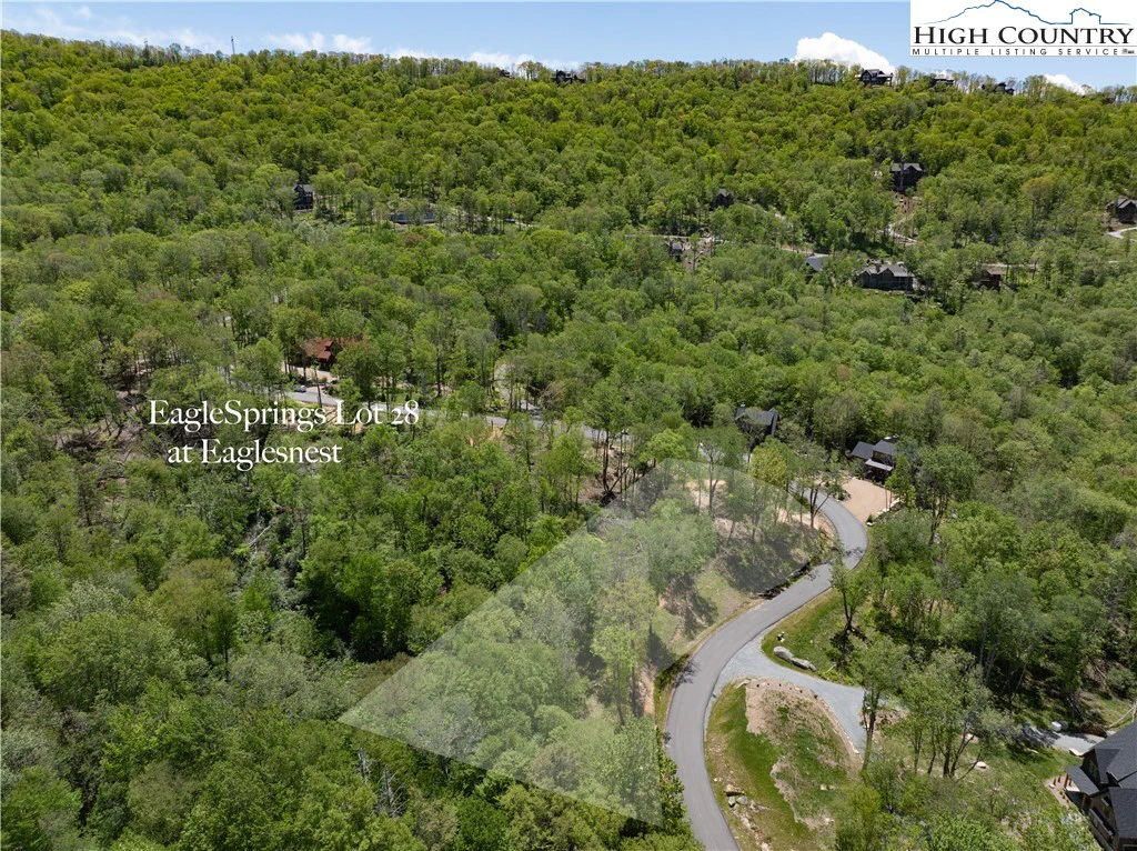 Image number 12 for the current listing