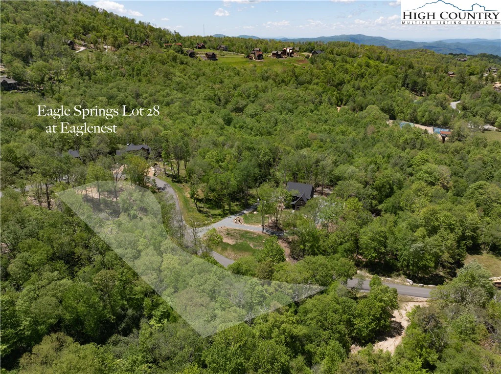 Image number 11 for the current listing
