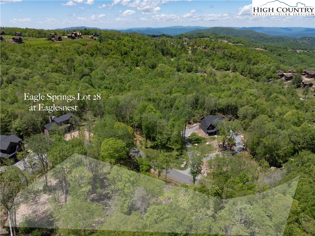 Image number 10 for the current listing