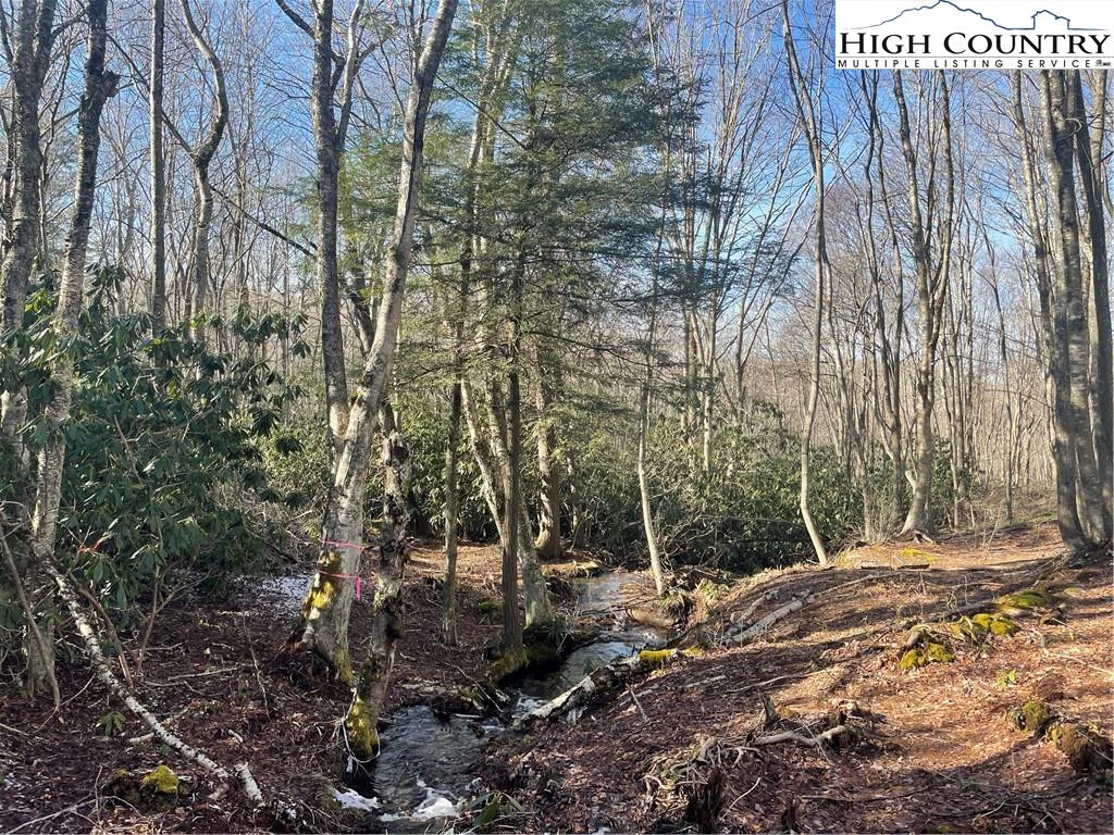 Image number 21 for the current listing