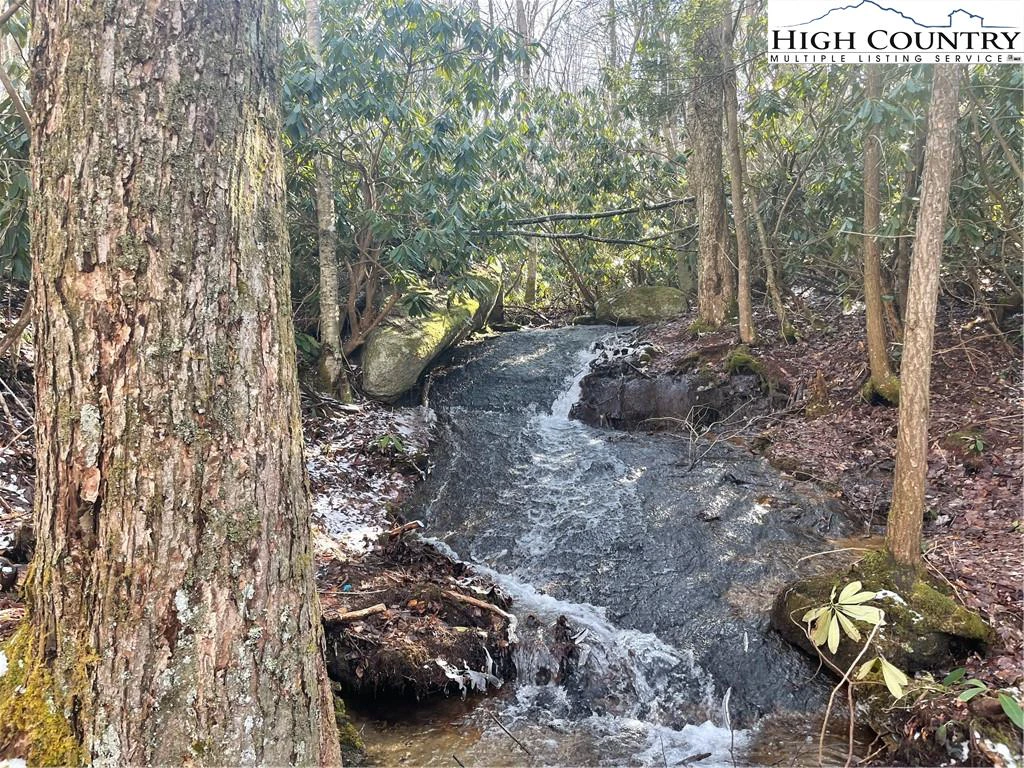 Image number 1 for the current listing